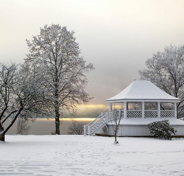 Gazebo Vs Pergola: the Differences, Benefits, and Features